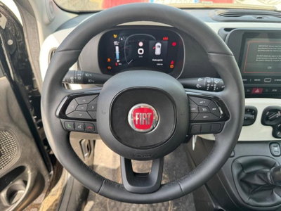 Fiat Panda Cross Cross 1.0 FireFly S&S Hybrid (10)