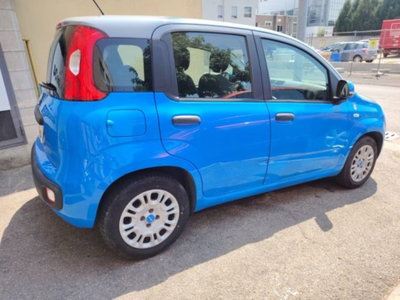 Fiat Panda 1.2 Pandazzurri (8)