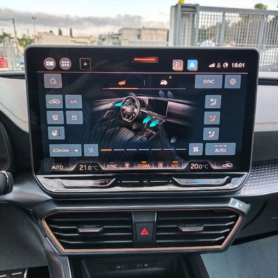 Cupra Formentor Formentor 2.0 TDI (11)