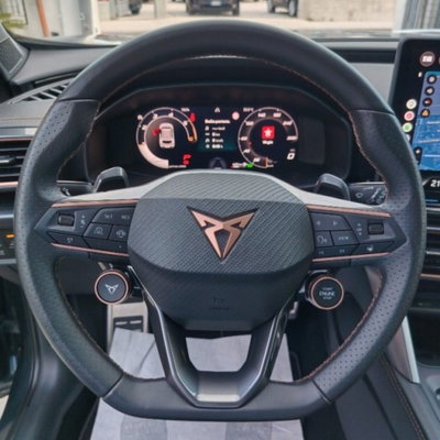 Cupra Formentor Formentor 2.0 TDI (14)