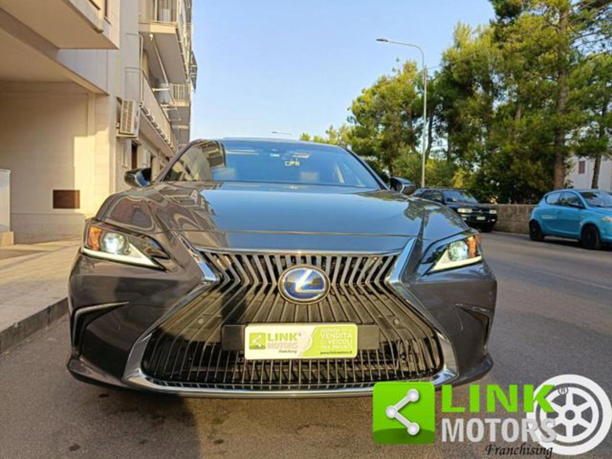 Lexus ES Hybrid FSport (13)