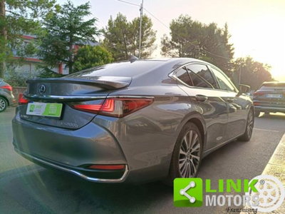 Lexus ES Hybrid FSport (15)