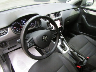 Skoda Octavia Station Wagon 2.0 TDI EVO SCR 150 CV DSG 4x4 Wagon Executive (6)