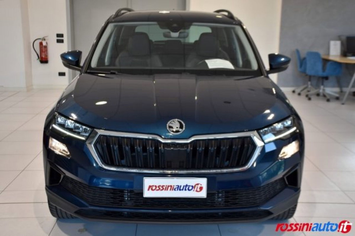 Skoda Karoq 1.5 tsi Executive dsg (8)