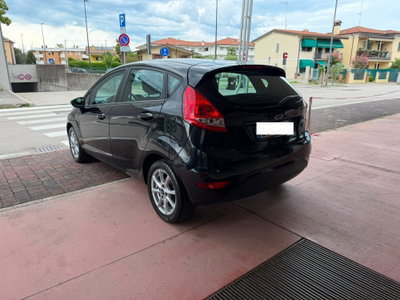 Ford Fiesta 1.2 82 CV 5 porte Titanium (3)