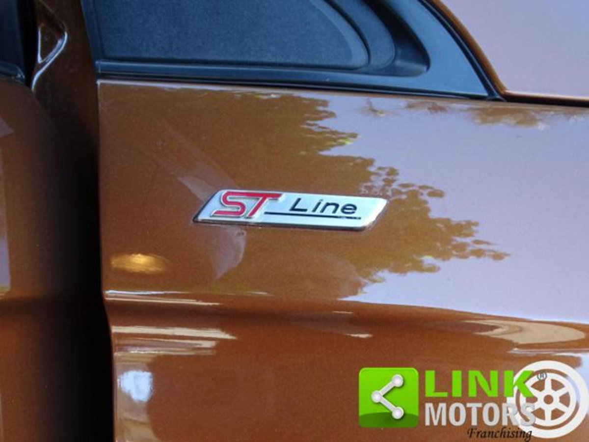 Ford Edge 2.0 TDCI 210 CV AWD S&S Powershift ST Line (12)