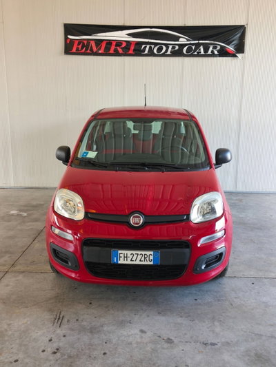 Fiat Panda 1.2 Easy usata