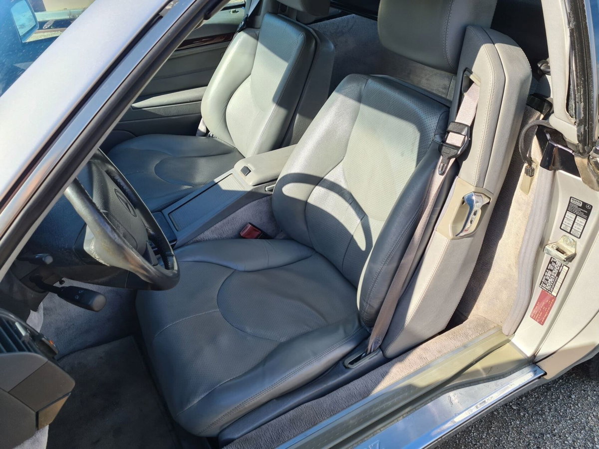 Mercedes-Benz SL 500 cat (10)