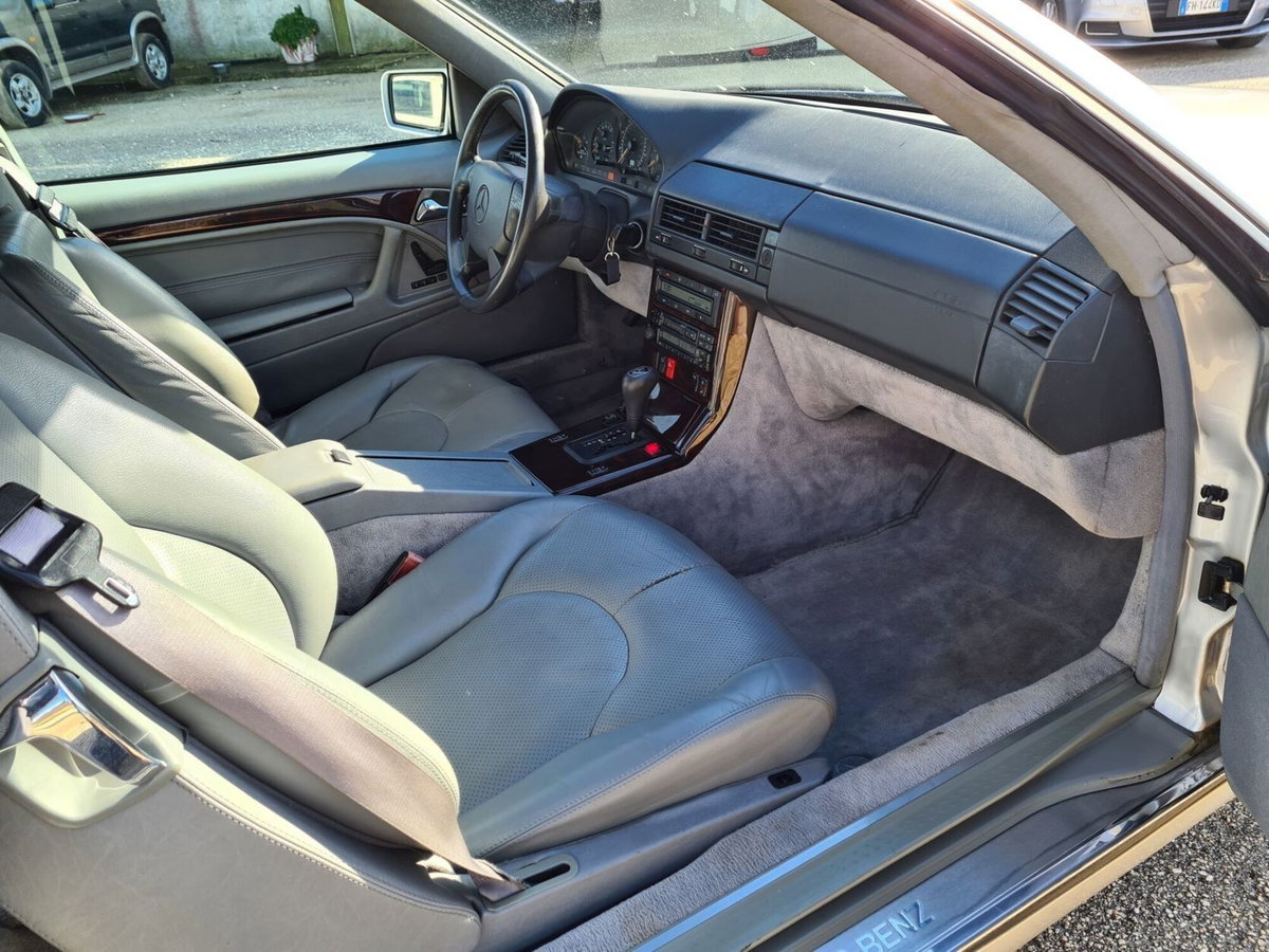 Mercedes-Benz SL 500 cat (12)