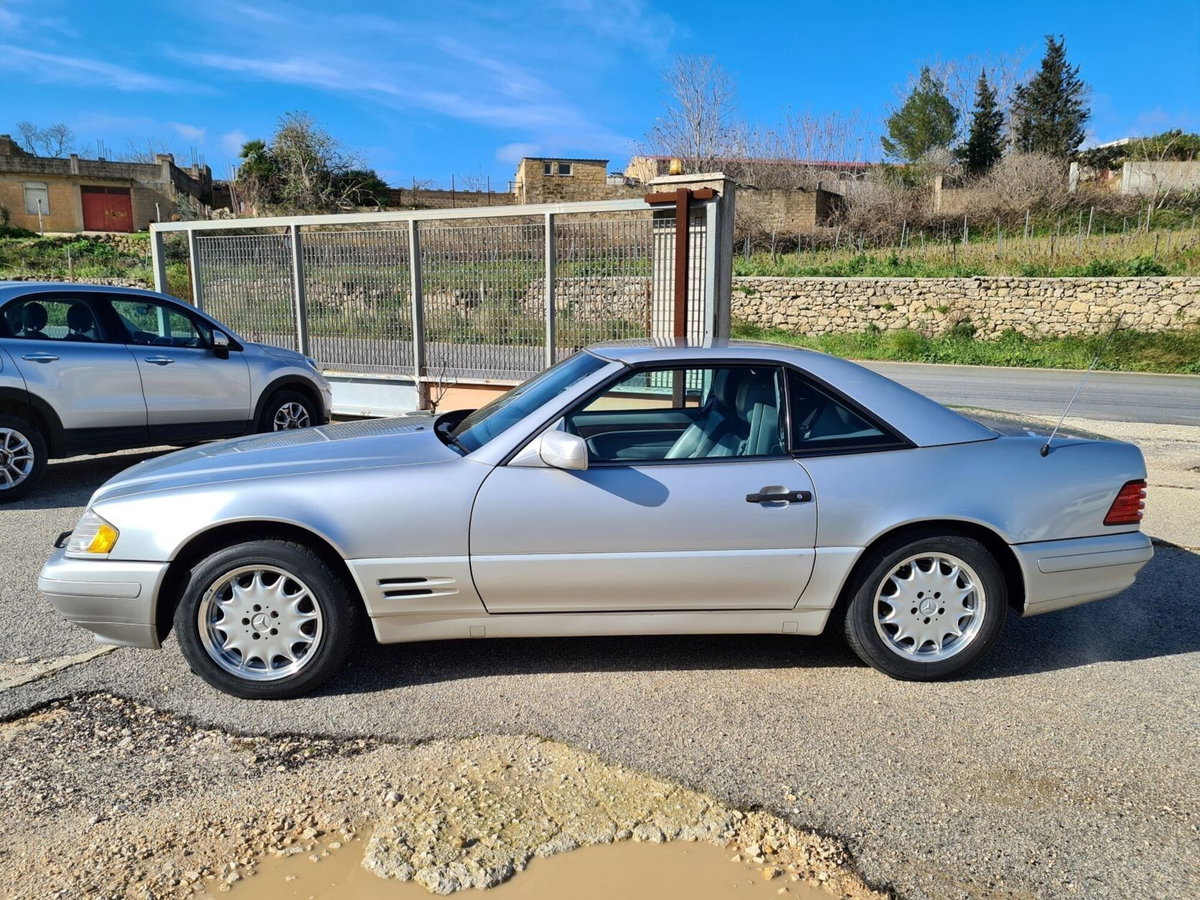 Mercedes-Benz SL 500 cat (2)