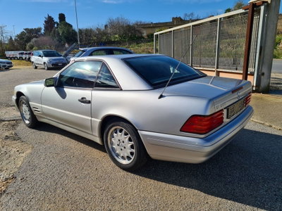 Mercedes-Benz SL 500 cat (3)