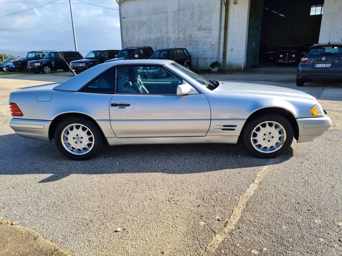 Mercedes-Benz SL 500 cat (6)