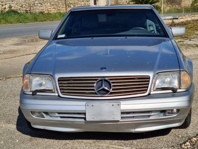 Mercedes-Benz SL 500 cat (8)
