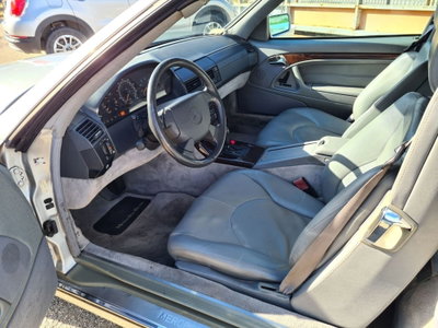 Mercedes-Benz SL 500 cat (9)