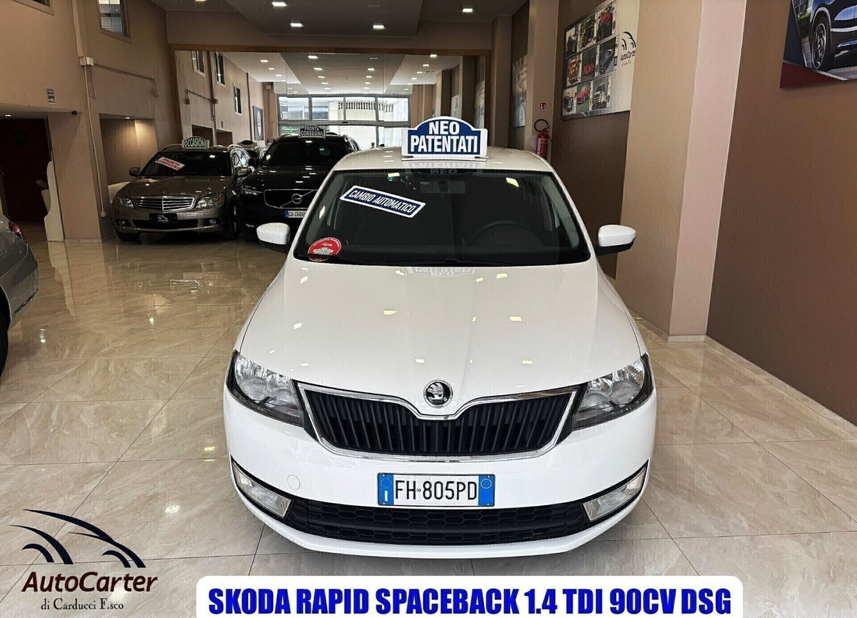 Skoda Rapid TDI CR 90 CV Ambition (2)