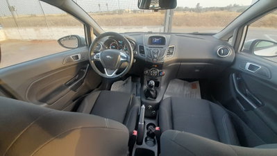 Ford Fiesta 1.4 5 porte Bz.- GPL Business N1 (20)