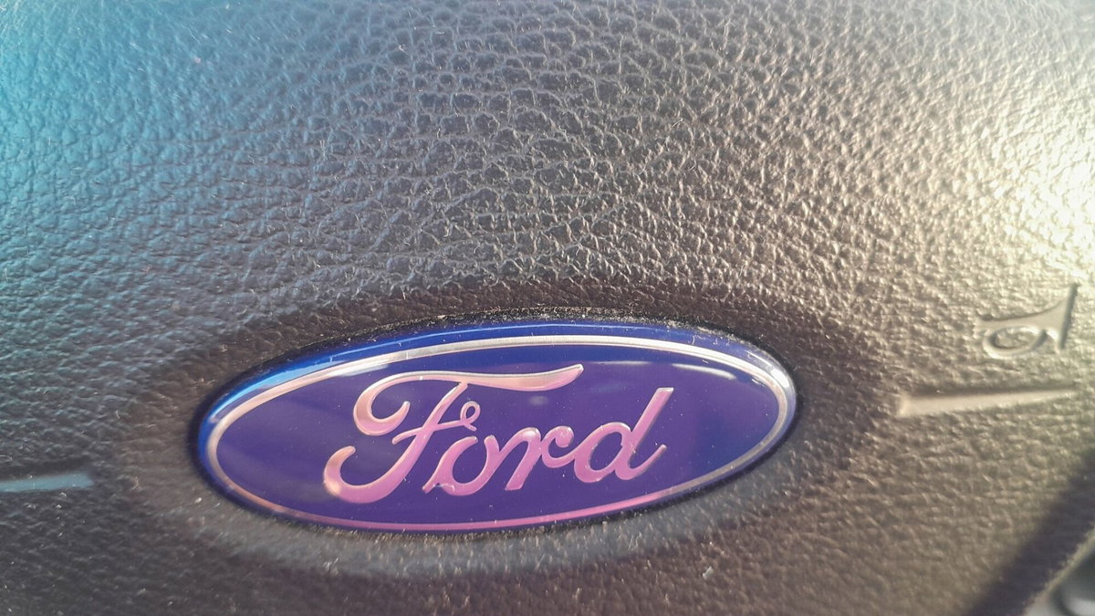 Ford Fiesta 1.4 5 porte Bz.- GPL Business N1 (3)