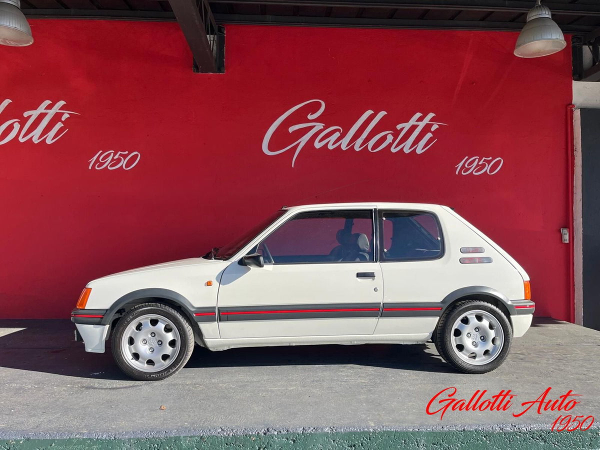 Peugeot 205 3 porte GTI (3)