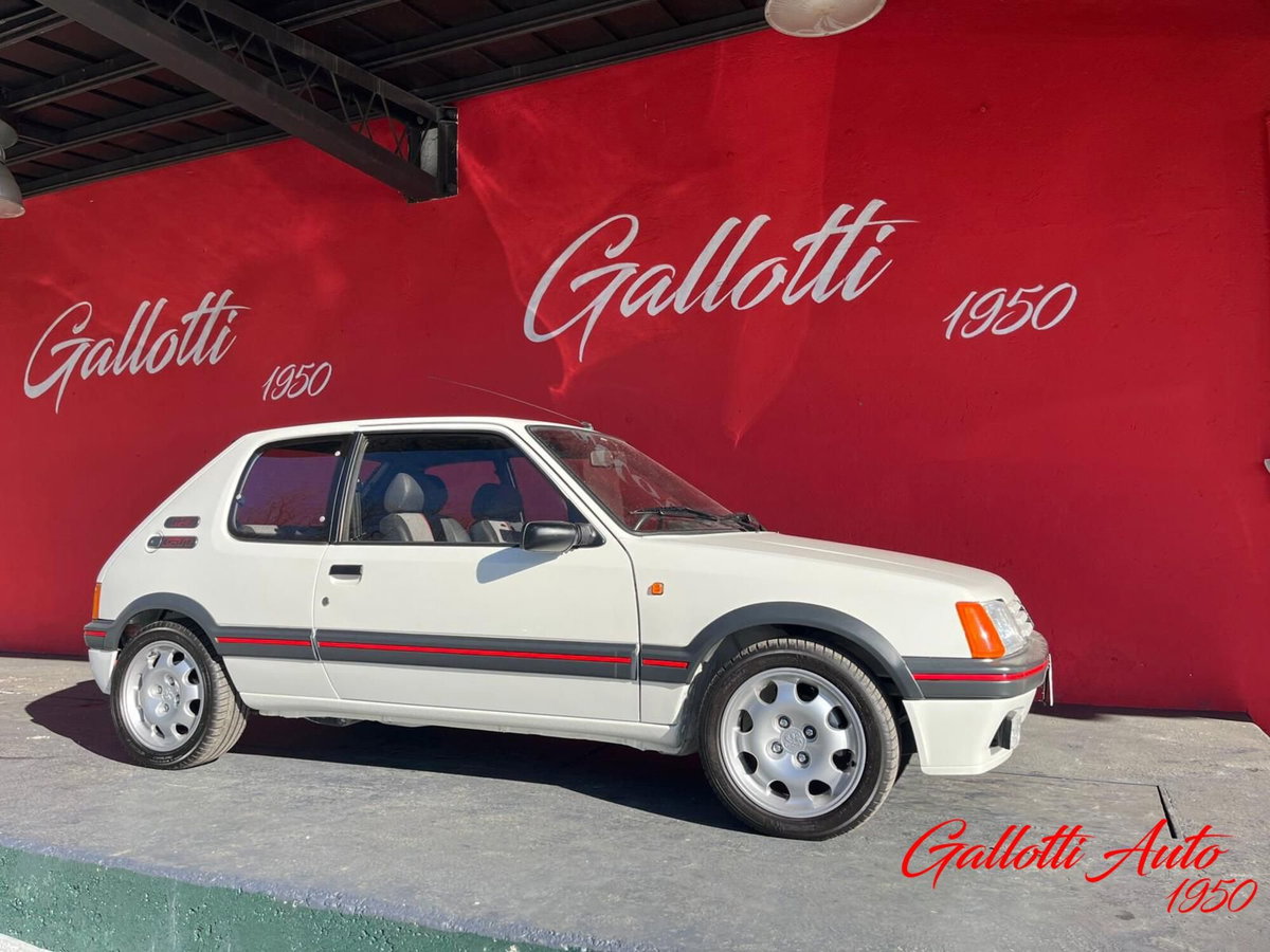 Peugeot 205 3 porte GTI (8)