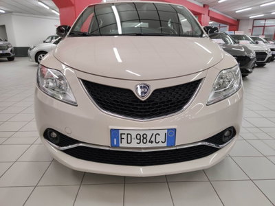 Lancia Ypsilon 1.2 69 CV 5 porte Gold (2)
