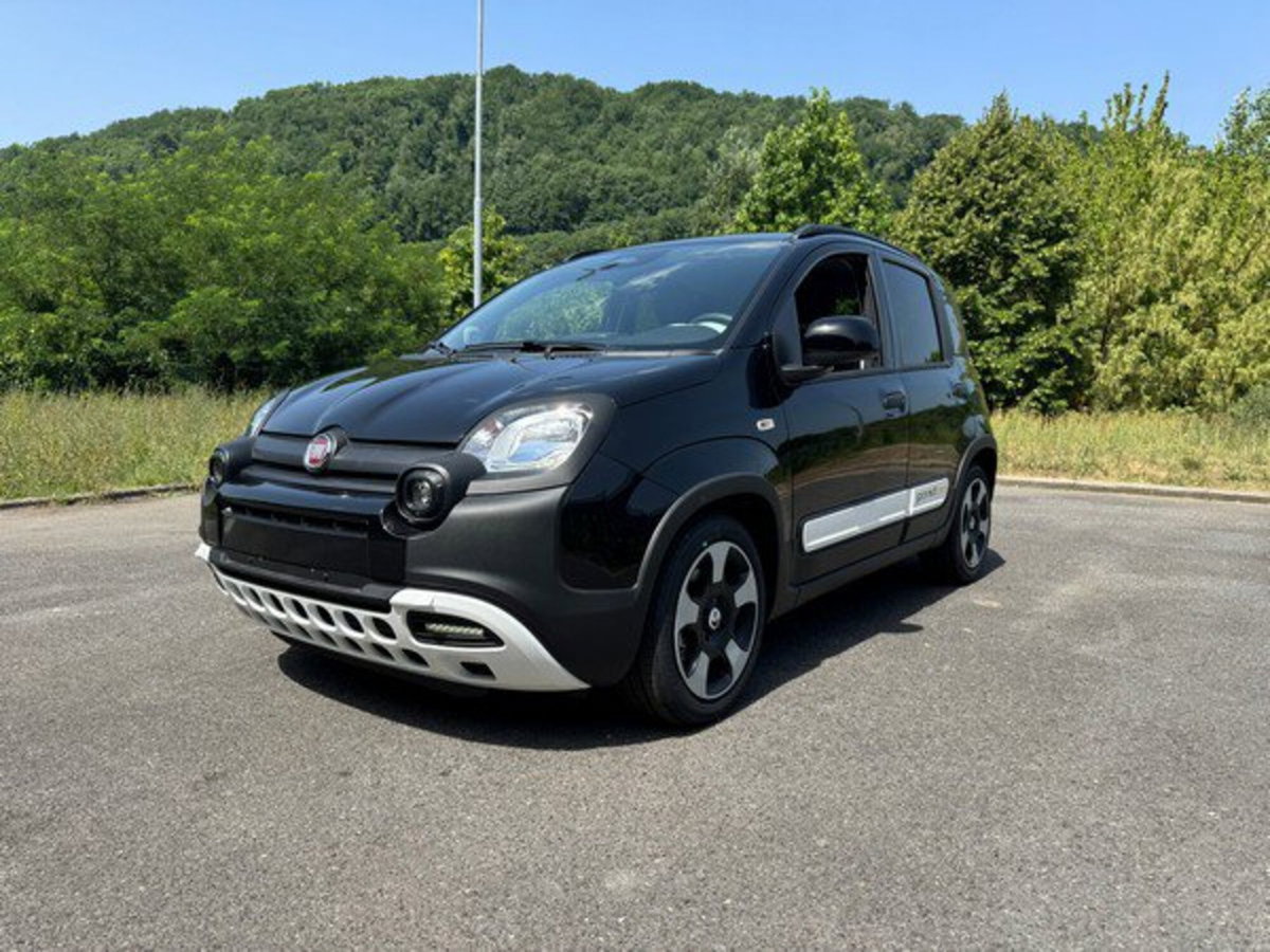 Fiat Pandina 1.0 firefly hybrid s&s 65cv (3)