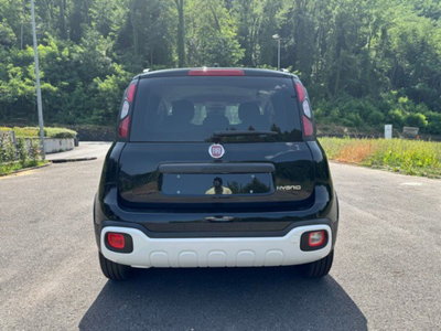 Fiat Pandina 1.0 firefly hybrid s&s 65cv (7)
