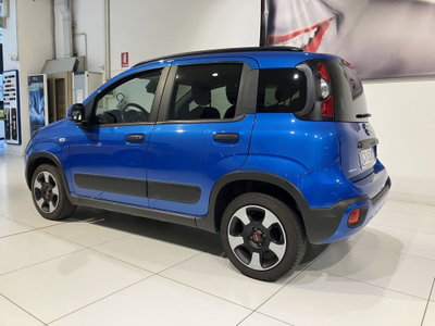 Fiat Panda Cross Cross 1.0 FireFly S&S Hybrid (4)