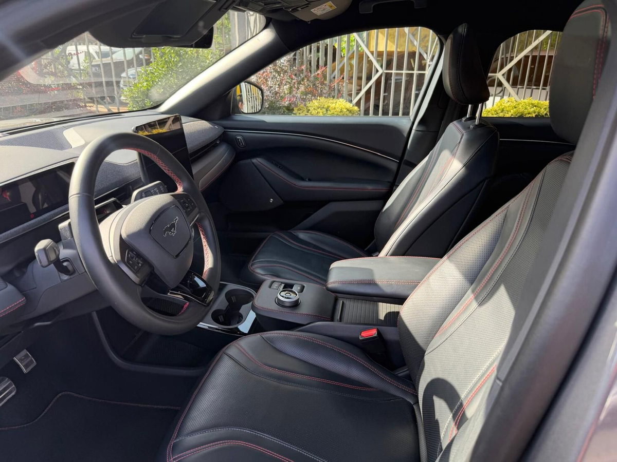 Ford Mustang Mach-E AWD  Standard 269CV (11)