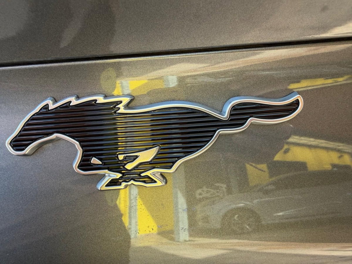 Ford Mustang Mach-E AWD  Standard 269CV (14)