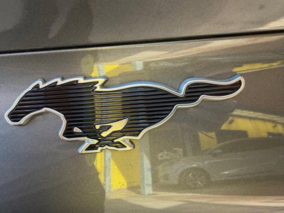 Ford Mustang Mach-E AWD  Standard 269CV (14)