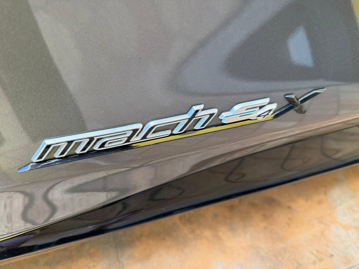 Ford Mustang Mach-E AWD  Standard 269CV (6)