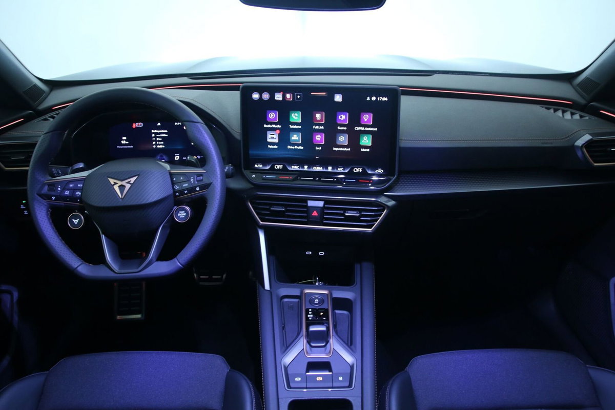 Cupra Formentor Formentor 2.0 TDI (9)
