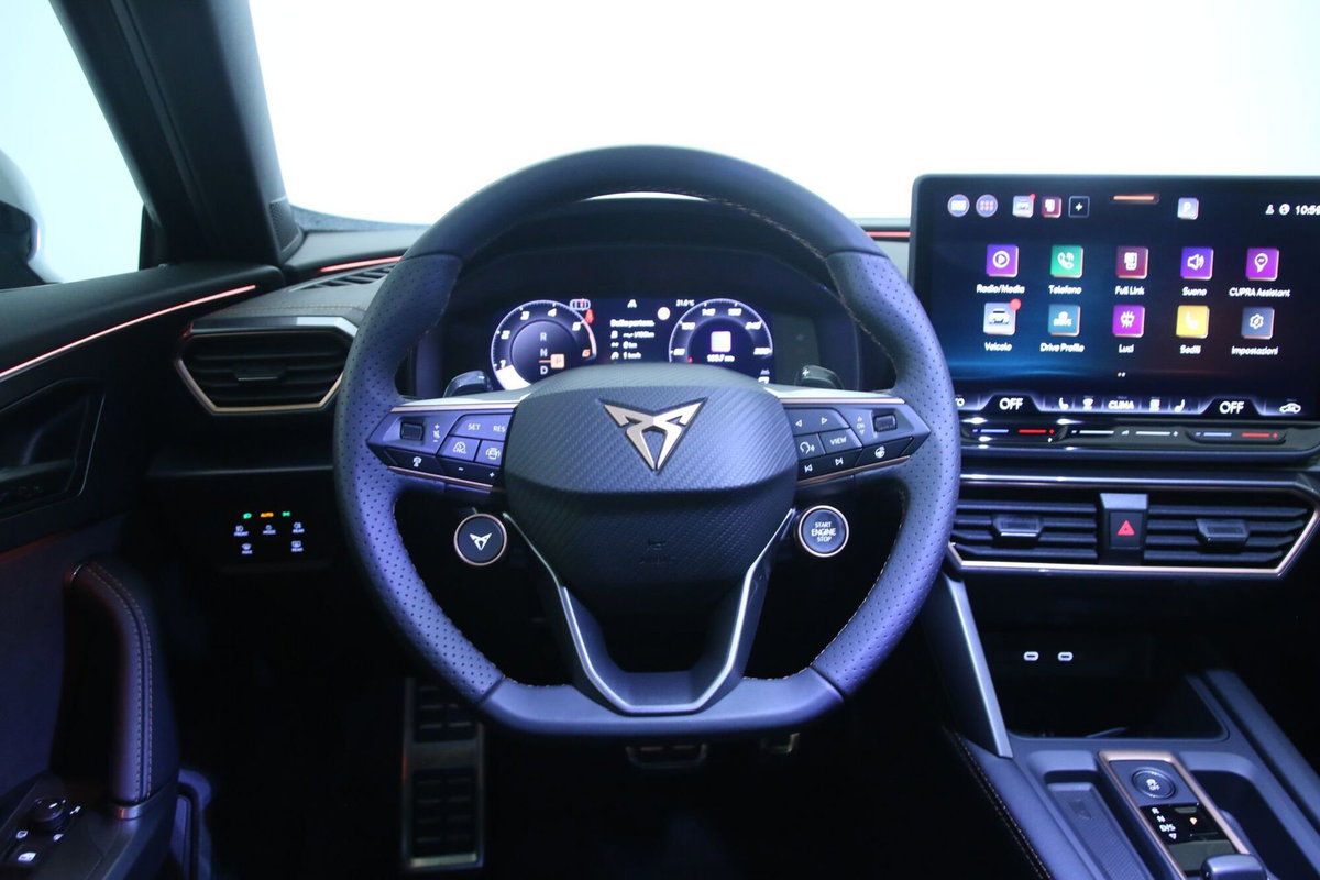 Cupra Formentor Formentor 2.0 TDI (10)