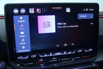 Cupra Formentor Formentor 2.0 TDI (17)
