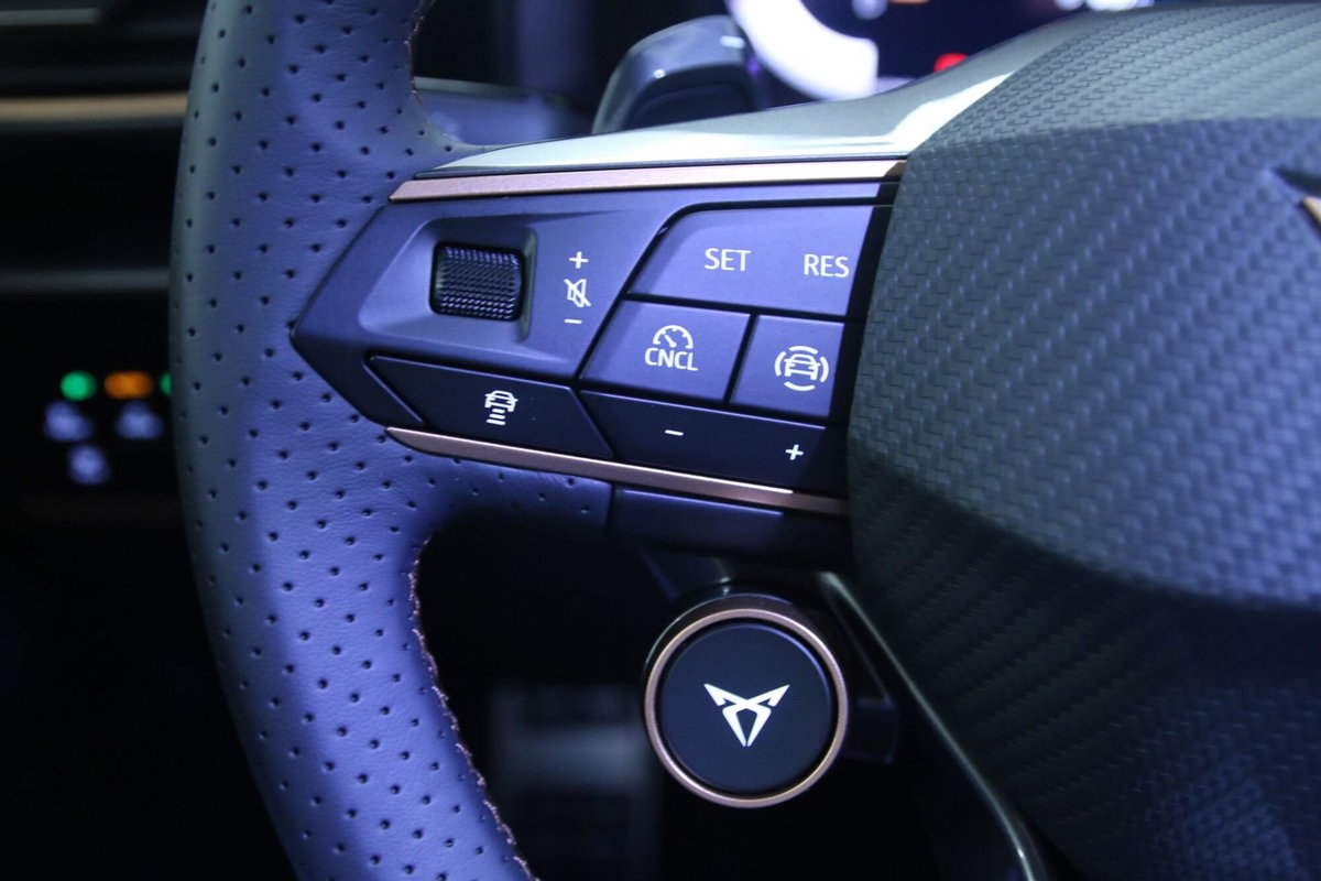 Cupra Formentor Formentor 2.0 TDI (20)