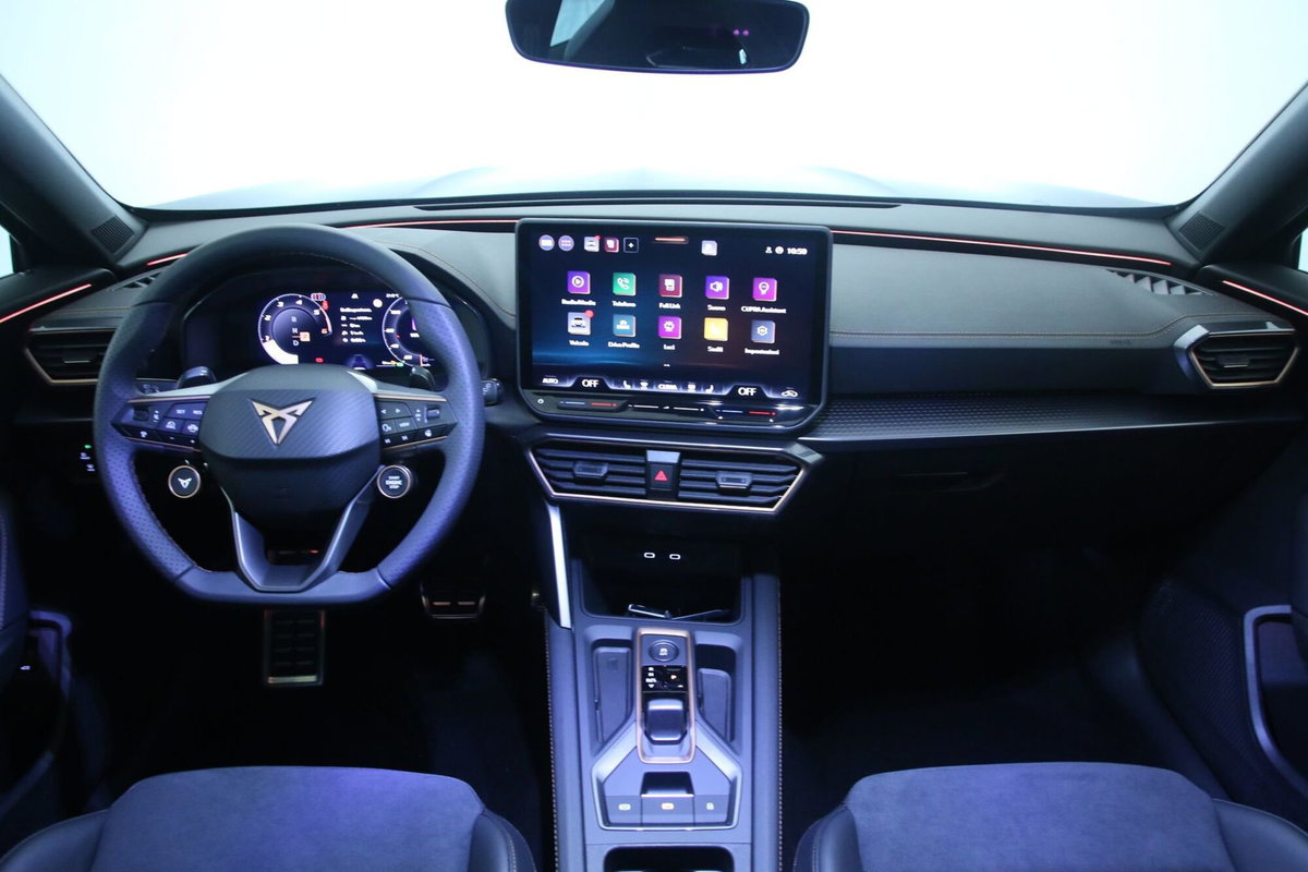 Cupra Formentor Formentor 2.0 TDI (9)