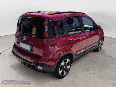 Fiat Panda Cross Cross 1.0 FireFly S&S Hybrid (7)