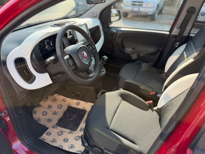 Fiat Panda Cross Cross 1.0 FireFly S&S Hybrid (11)