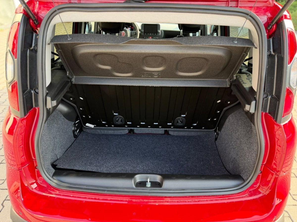 Fiat Panda Cross Cross 1.0 FireFly S&S Hybrid (9)
