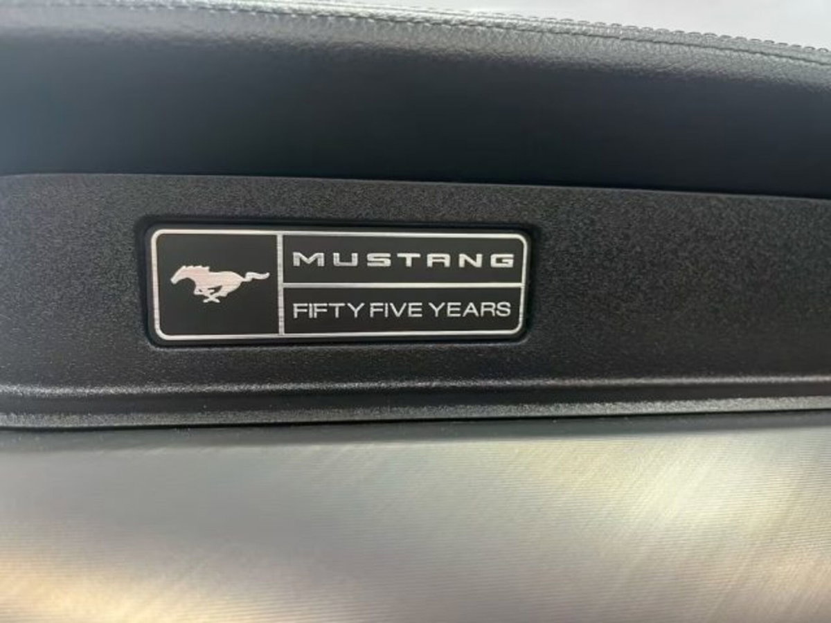 Ford Mustang Cabrio Convertible 2.3 EcoBoost (15)