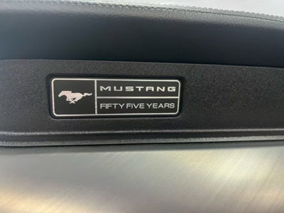 Ford Mustang Cabrio Convertible 2.3 EcoBoost (15)