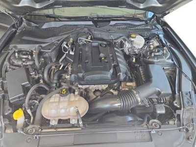 Ford Mustang Coupé Fastback 2.3 EcoBoost (13)
