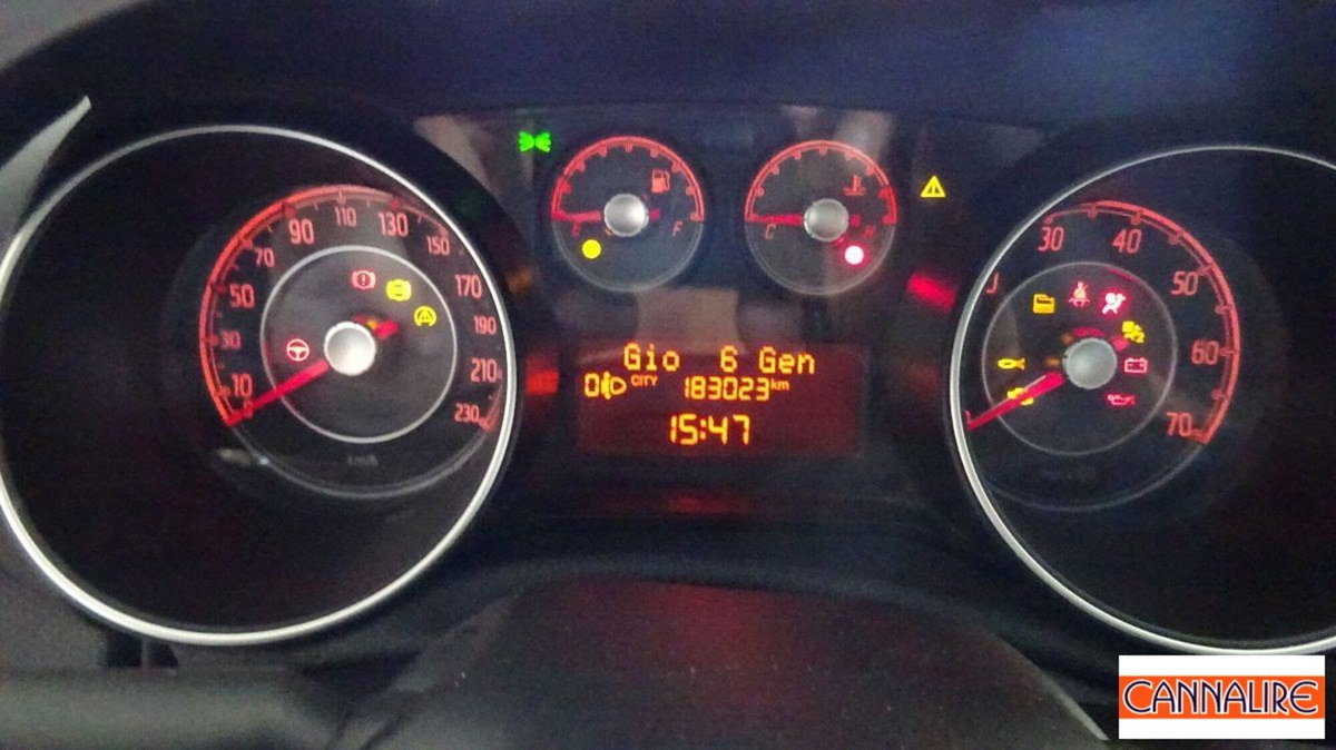 Fiat Punto Evo 1.3 MJT 75 DPF S&S 5p.Van Act. (16)