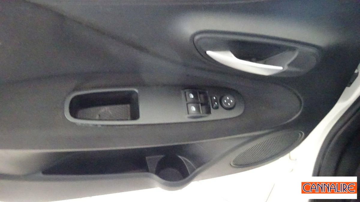 Fiat Punto Evo 1.3 MJT 75 DPF S&S 5p.Van Act. (17)