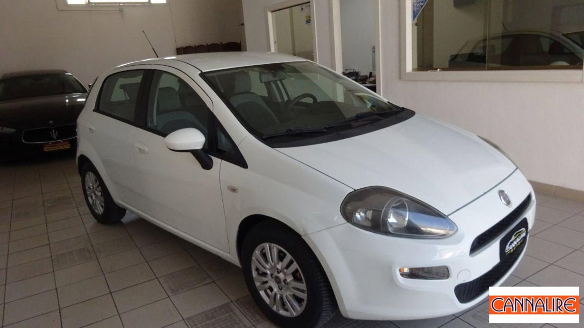 Fiat Punto Evo 1.3 MJT 75 DPF S&S 5p.Van Act. (3)