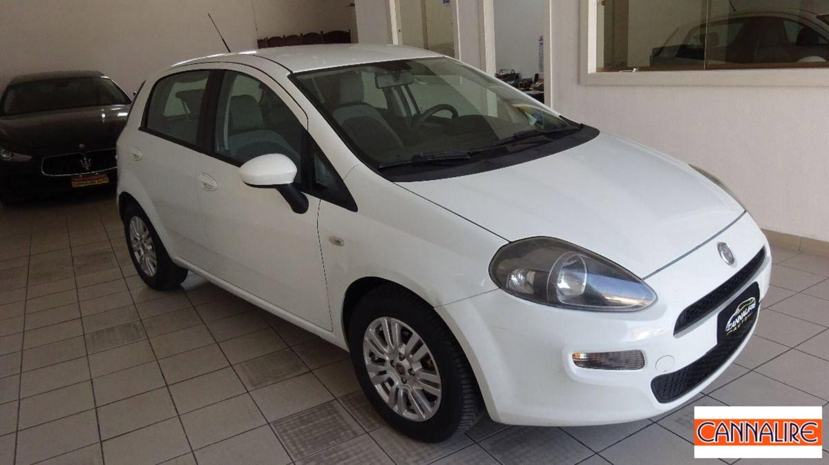 Fiat Punto Evo 1.3 MJT 75 DPF S&S 5p.Van Act. (4)