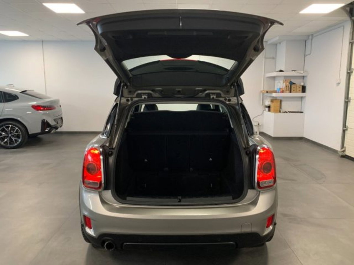 MINI Mini Countryman 2.0 Cooper D Countryman ALL4 Automatica (20)
