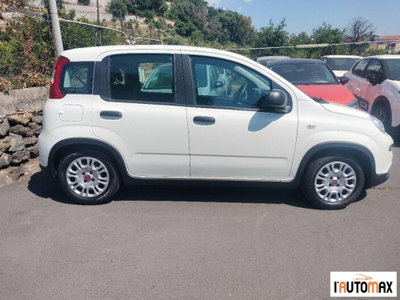 Fiat Panda 1.0 firefly hybrid s&s 70cv 5p.ti (4)