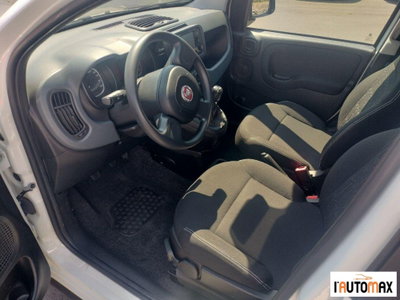 Fiat Panda 1.0 firefly hybrid s&s 70cv 5p.ti (7)