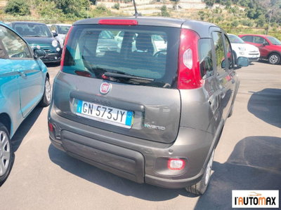 Fiat Panda 1.0 firefly hybrid s&s 70cv 5p.ti (6)